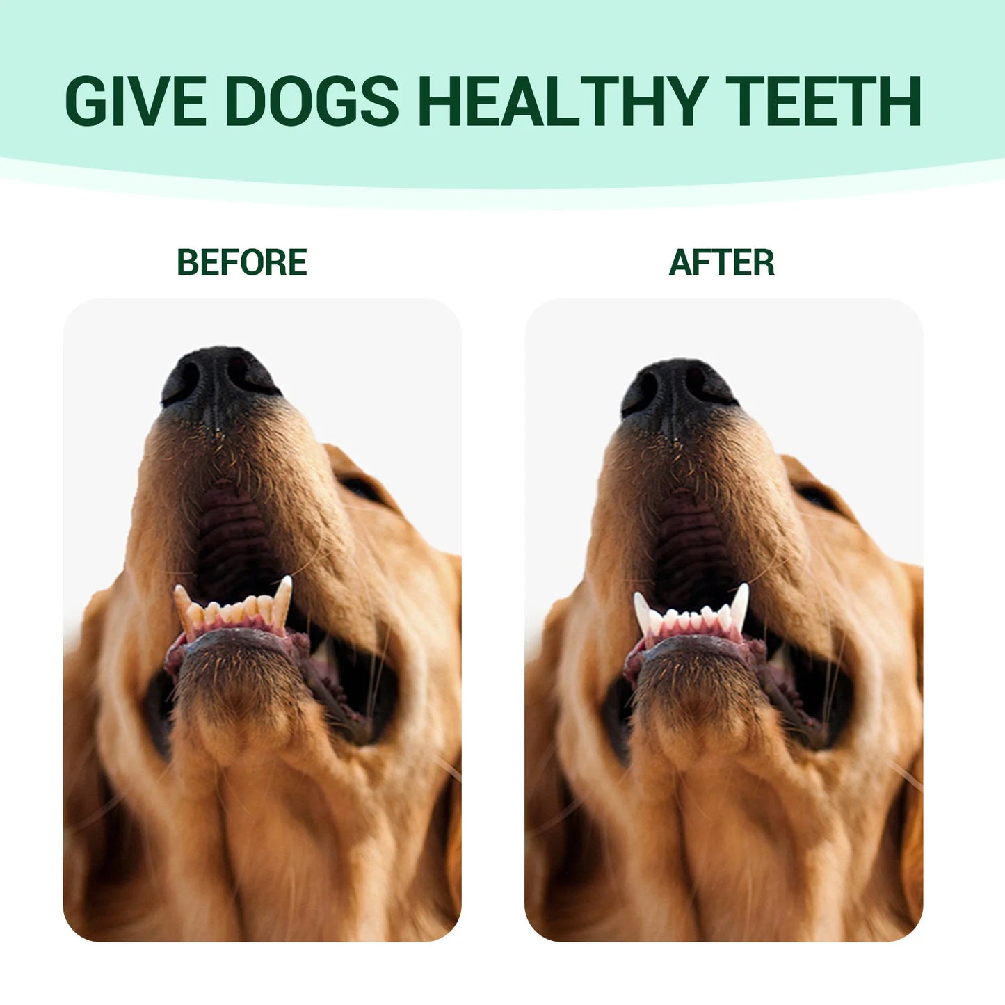 Pet Fresh Breath Cleanser Teeth Water Dog Dog Cat Tooth Stains Mouth Cleaning Ear Canal Odor Cleaning Earwax