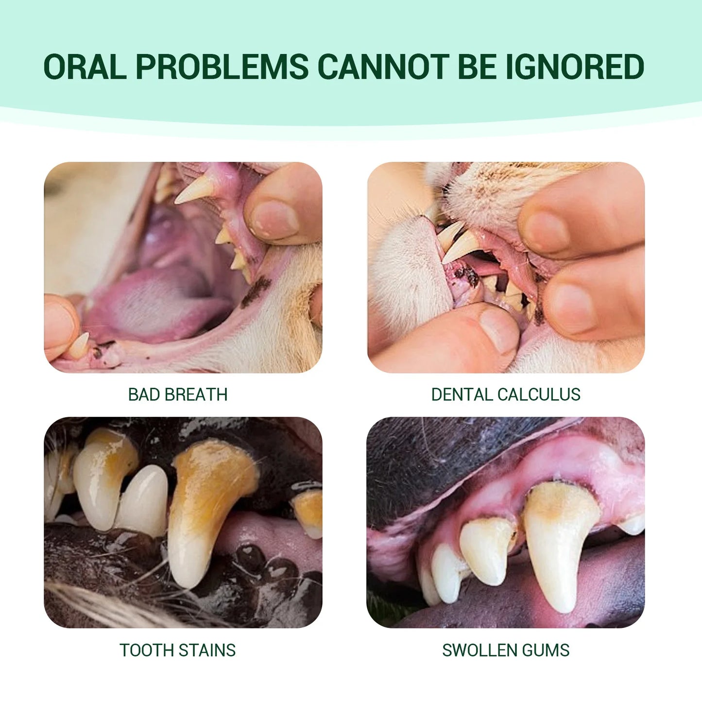 Pet Fresh Breath Cleanser Teeth Water Dog Dog Cat Tooth Stains Mouth Cleaning Ear Canal Odor Cleaning Earwax